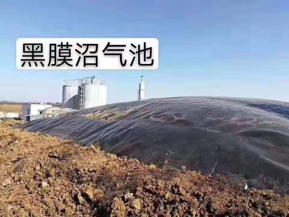 污水池防渗的重要性